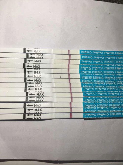 Garis TP semakin memudar