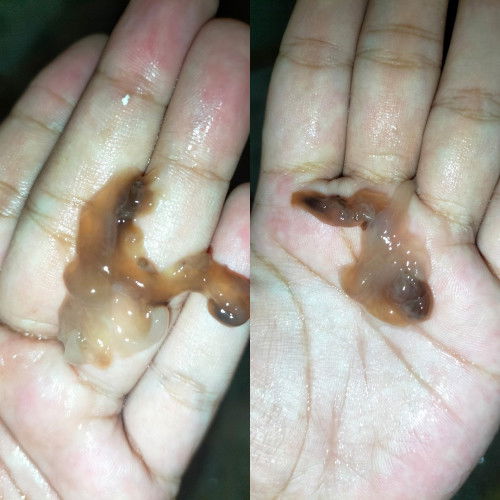 Tolong bagi pengalamannya bund