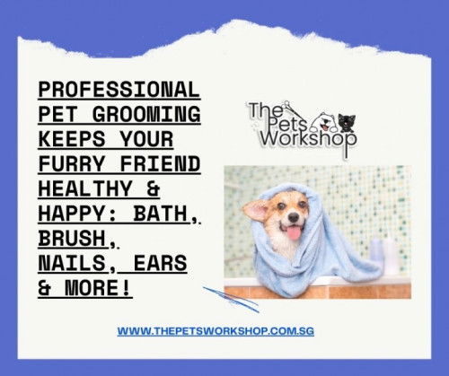 The first step in effective client communication is understanding the specific needs — The Pets Work