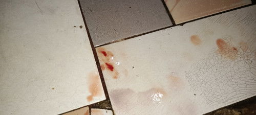 Keluar lendir darah hpl kemarin