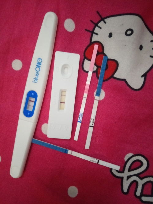 Jadi bumil saat sedang menyusui