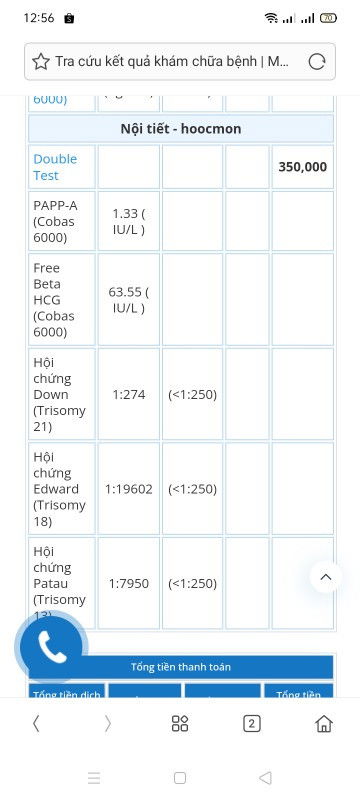 Có mom nào làm double test ko ạ.chỉ số như nào là BT vậy các mom.em bé mình là 1:274.