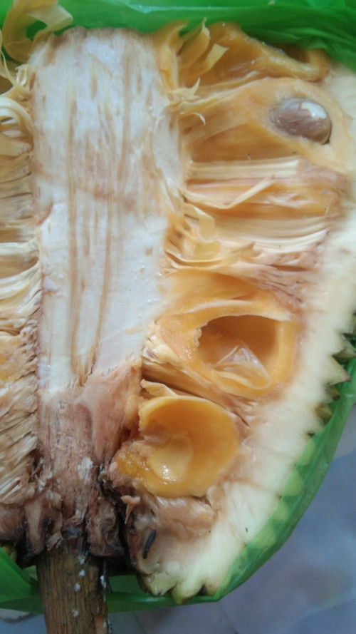 Pwd po ba kumain ng langka o jackfruit in 4 months preggy