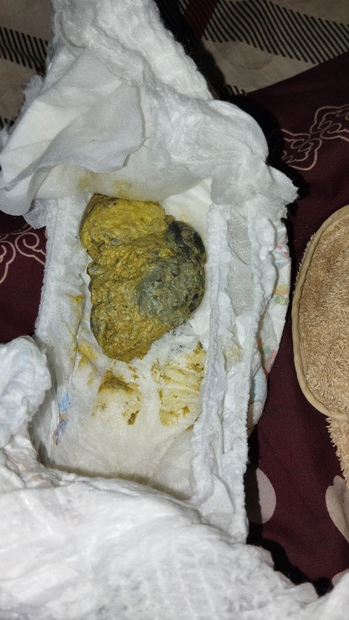 Fases pada bayi 9 bulan 24 hari