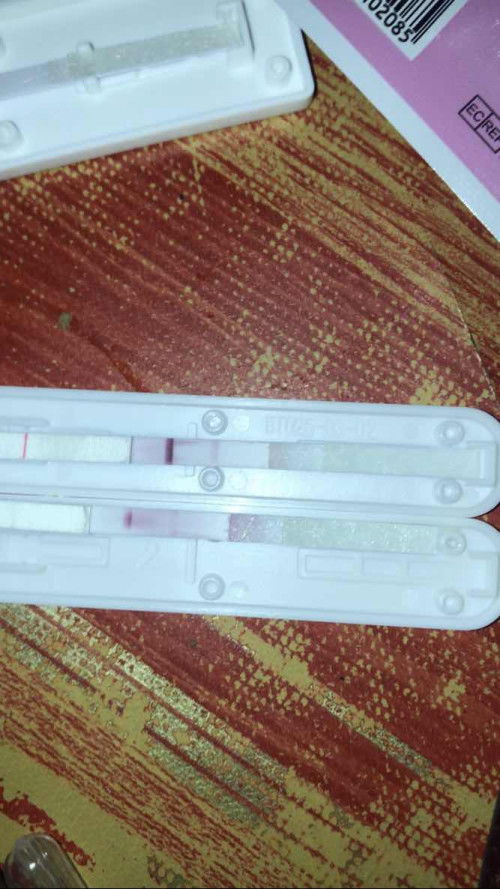 TTC ( last mens Apr 19 )