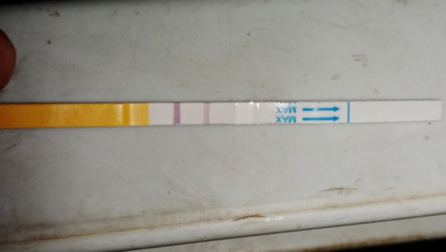 Ovulation test