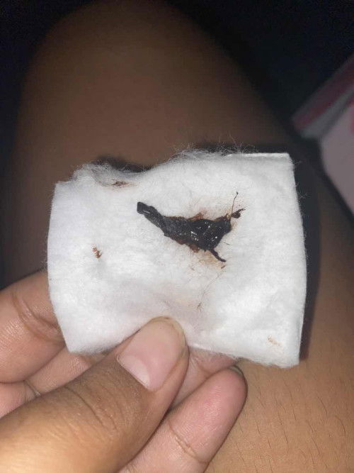 สอบถามหน่อยคะ