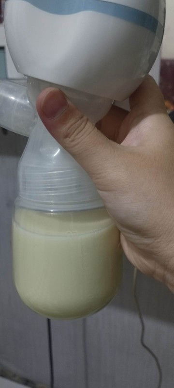 Preloved pompa asi elektrik