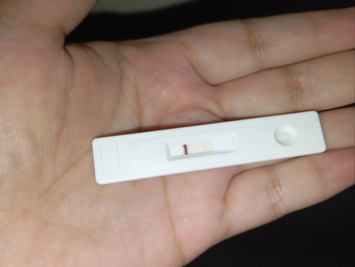 Pregnancy test