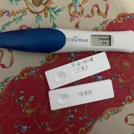 Pregnancy journey