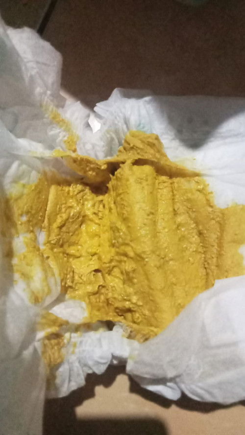 Tekstur pup dan warna pup