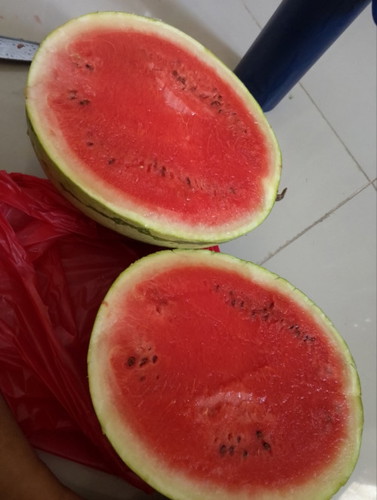 7 weeks preggy