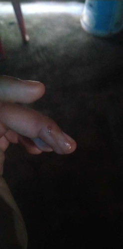 ขออนุญาตรูปนะคะ