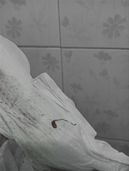 ถามเรื่องปจด.