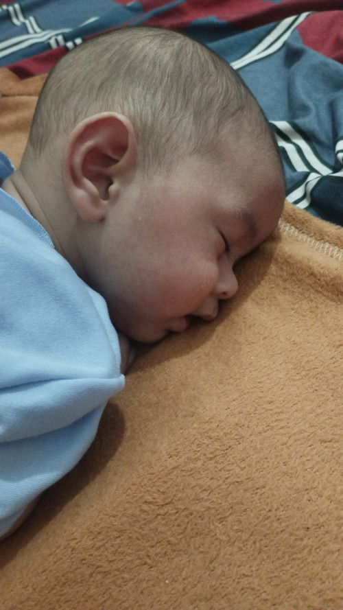 Bayi tidur tengkurap