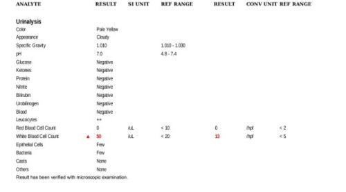 White blood Cell count