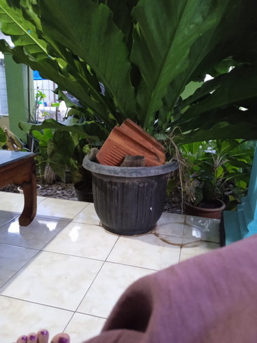 Macam tidak betul nih aplikasi