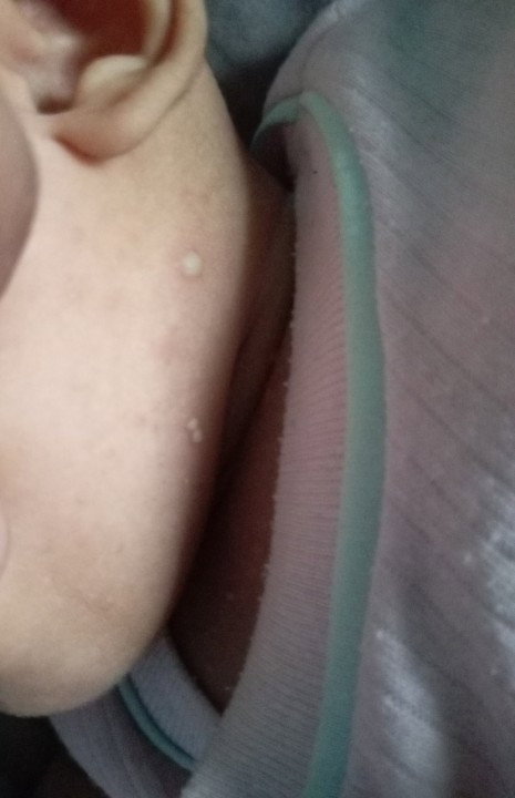 Bayi 3 bulan