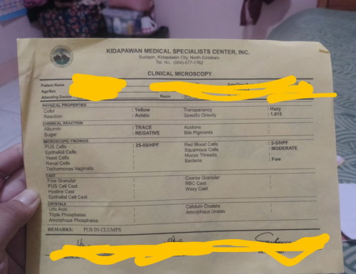 URINALYSIS RESULT