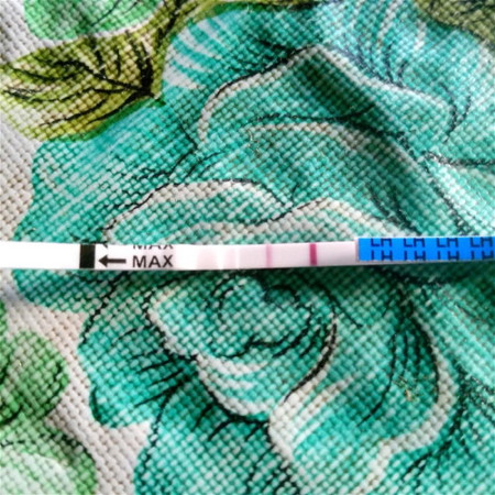 tanong lng po mga mommy sino gumagamit sa inyo ng ovulation kit?positive po ba o still negative po?
