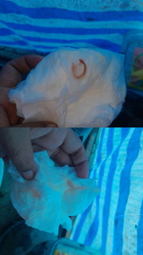 ทีมกรกฎาคม