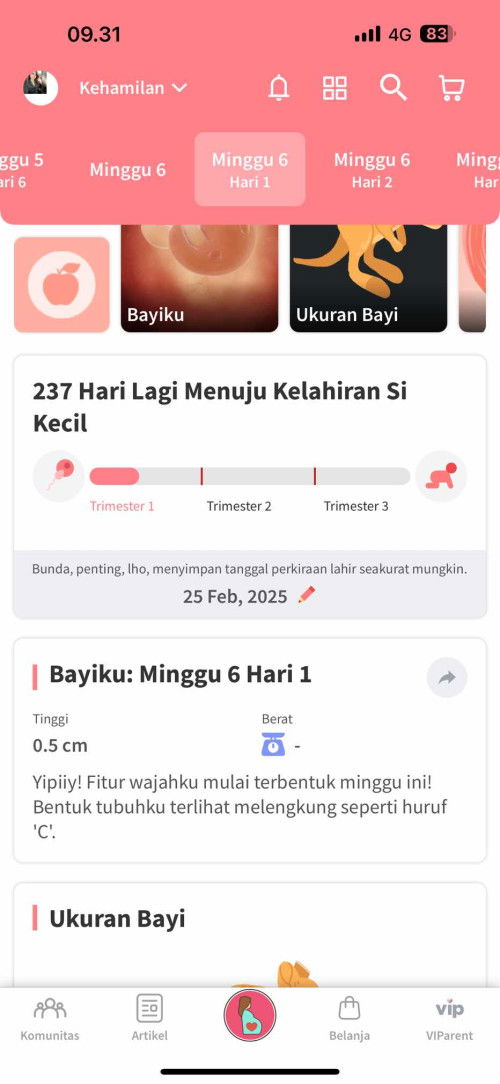 6week apa yang dirasakan para moms