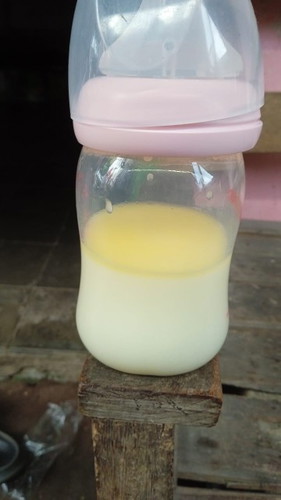 Asip ada lapisan kuning setelah dihangatkan