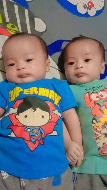 ทีมพฤษภาคม2567