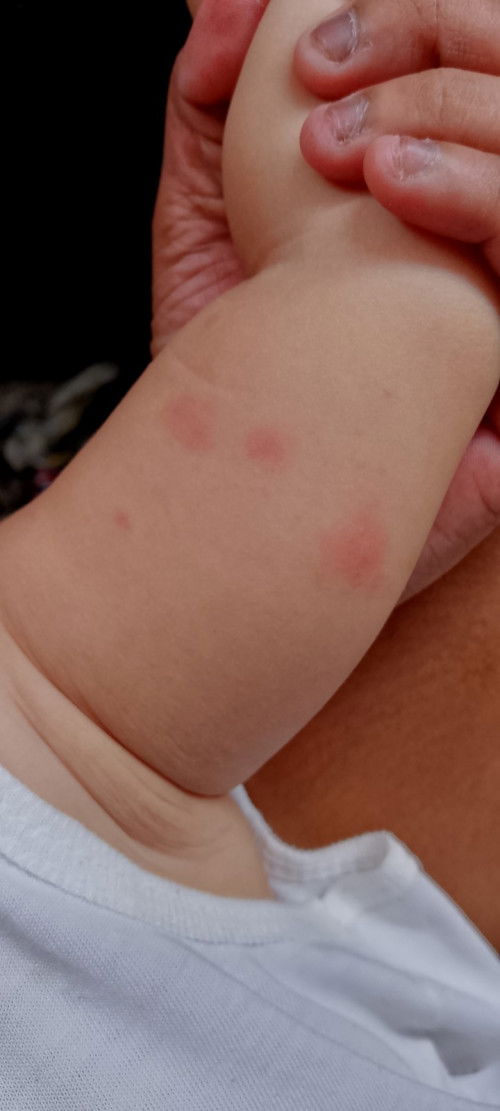 Asking a question and need advice