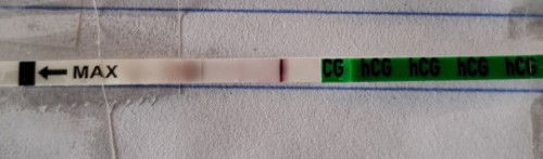 ตรวจหลังไข่ตก 11 วัน