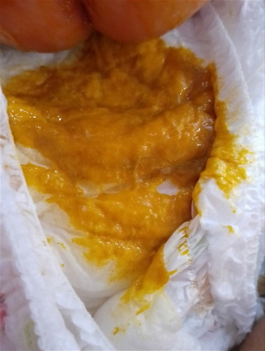 ทีมมิถุนายน