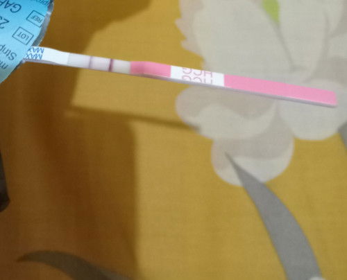 apakah ini tandanya positif hamil?