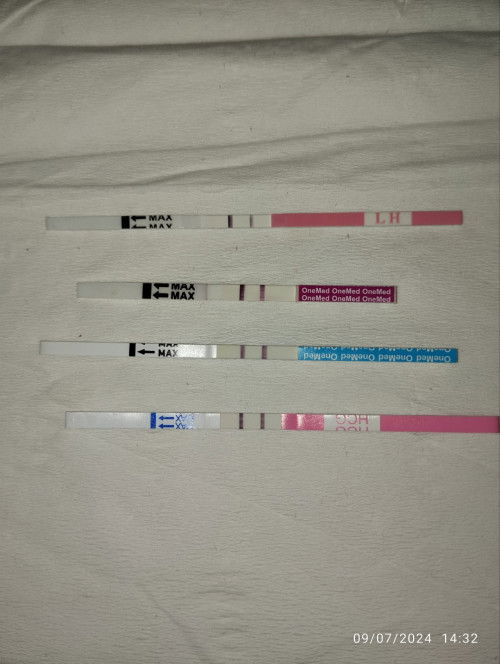 Hamil 🤰
Penantian 2 Tahun stelah Keguguran Kembar 💐