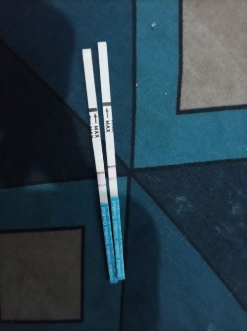 Bingung  tolong di bantu bun