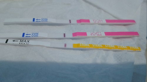 Bun knpa yah aku udh telat mens tpi pas di testpack slalu garis 1, pdhal HPHT aku tgl 3juni.