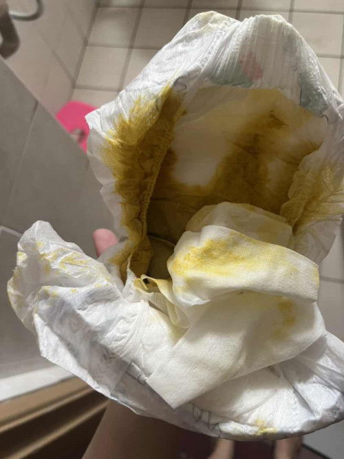 Susu FM + Susu Badan