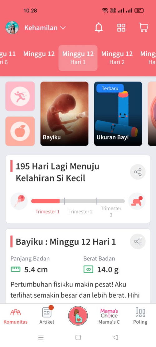 TM 1 di apk ini tuh berapa minggu ya