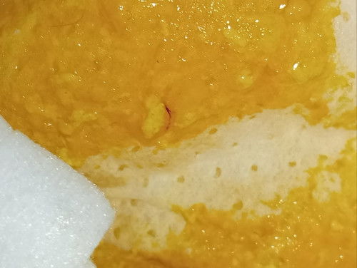 ขออภัยแม่ๆที่กำลังทานข้าวนะคะ