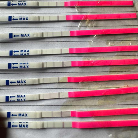 OPK MAKIN TERANG