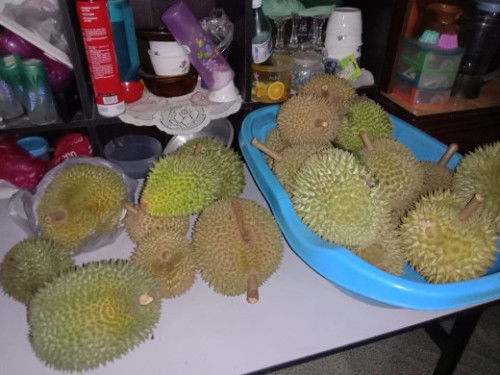 Durian oh durian