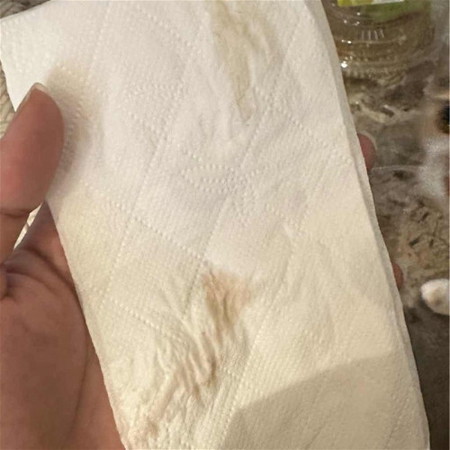 Tanda Bersalin ke? 37w4d