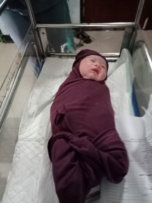 Alhamdulillah lounching baby gemoy