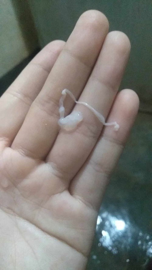 ขออนุญาตถามค่า