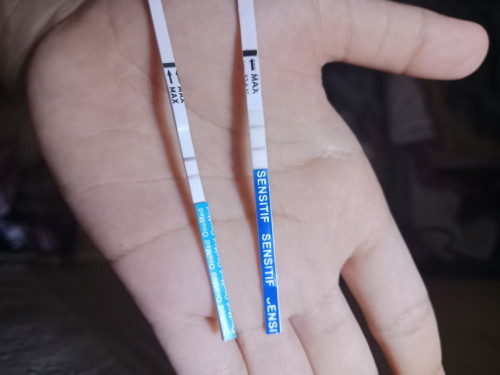 Pertanyaan seputaran alat uji kehamilan