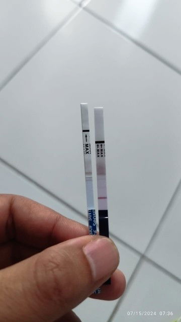 Ini hamil apa tidak?