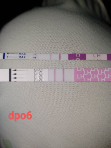 upt dn opk