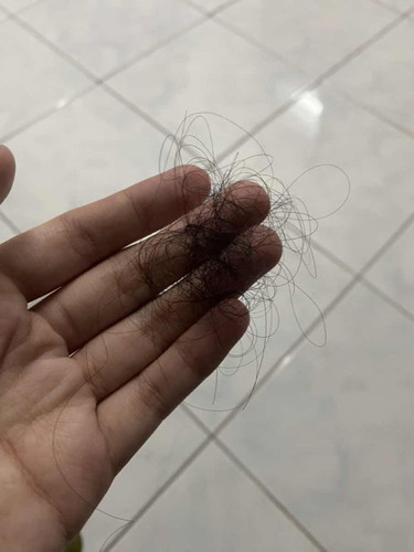 hari hari gugur ?
