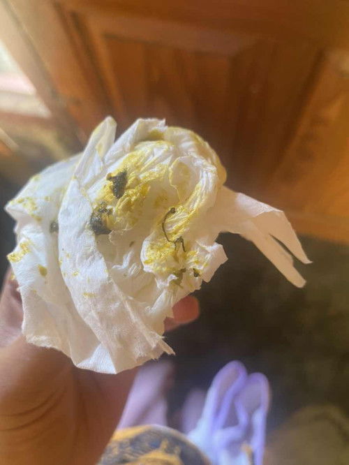 MAAF SEBELUMNYA BUN KALAU JOROK, TANYA TENTANG BAB SI KECIL