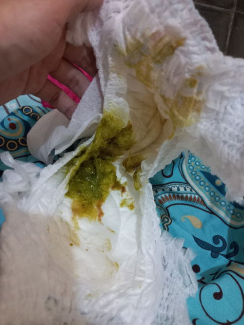 Bab hijau, abis nyusu langsung pup