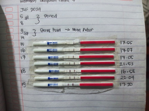 Promil mandiri